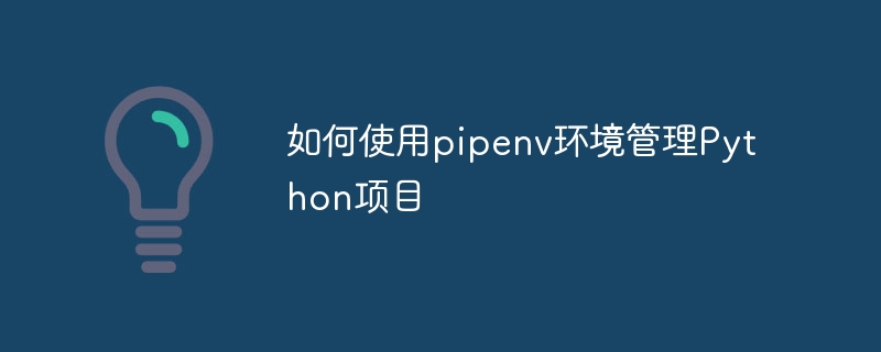 如何使用pipenv环境管理python项目