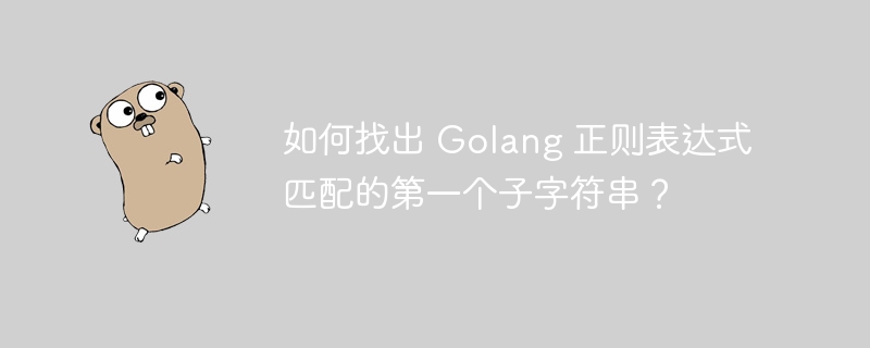 如何找出 Golang 正则表达式匹配的第一个子字符串？