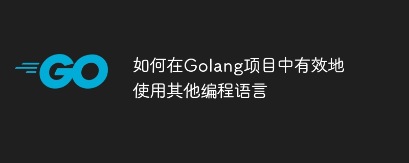 如何在golang项目中有效地使用其他编程语言