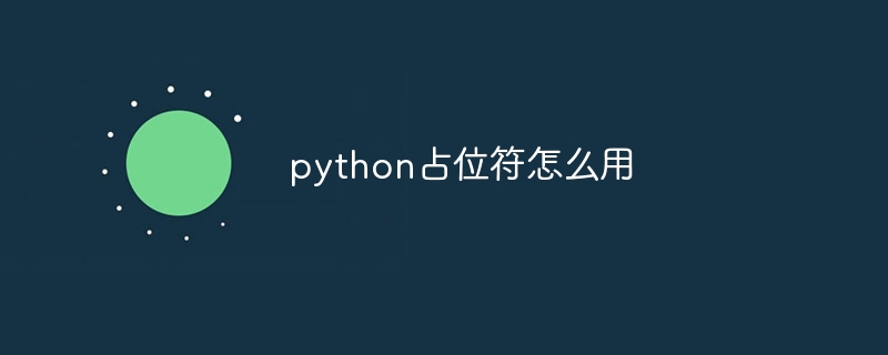 python占位符怎么用