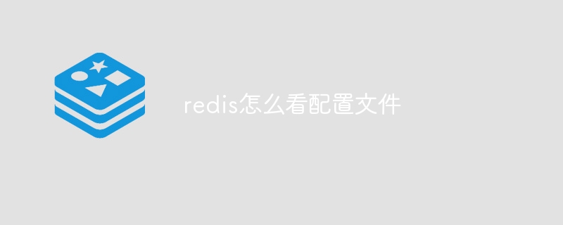 redis怎么看配置文件