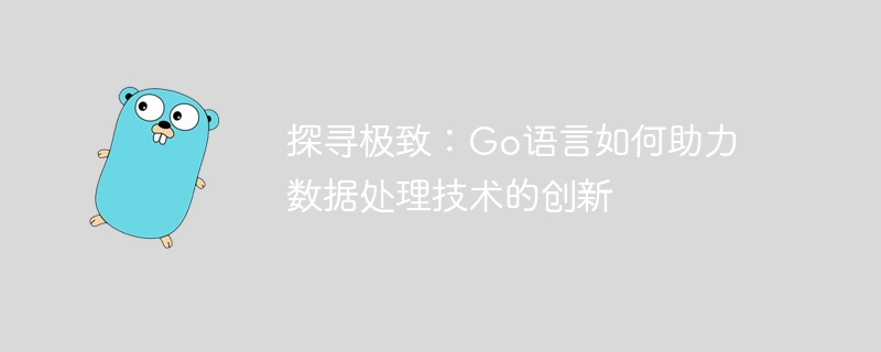 探寻极致：go语言如何助力数据处理技术的创新