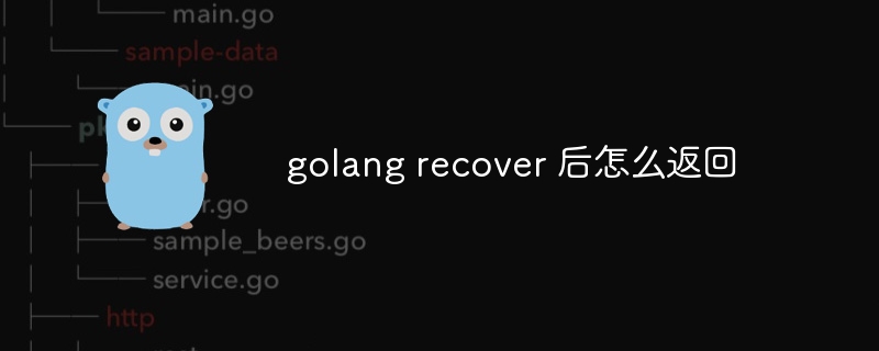 golang recover 后怎么返回