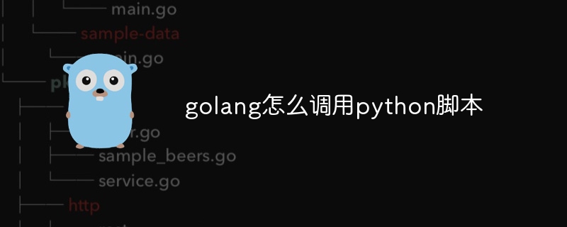 golang怎么调用python脚本