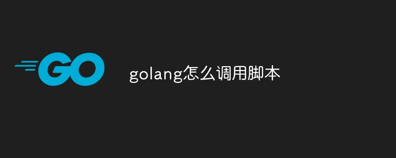 golang怎么调用脚本