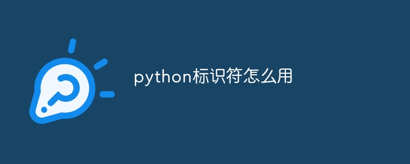 python标识符怎么用