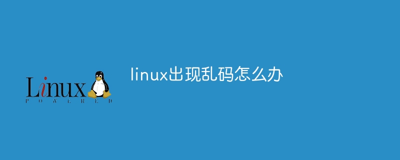 linux出现乱码怎么办