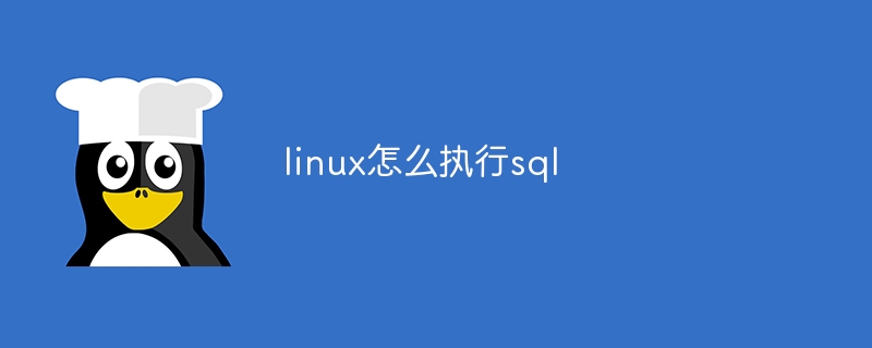 linux怎么执行sql