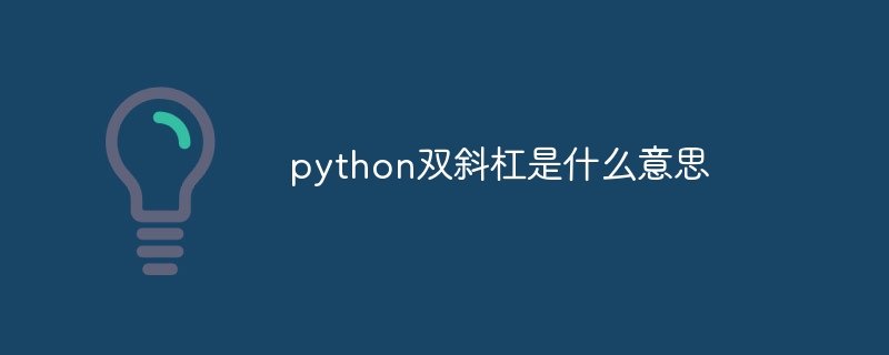 python双斜杠是什么意思