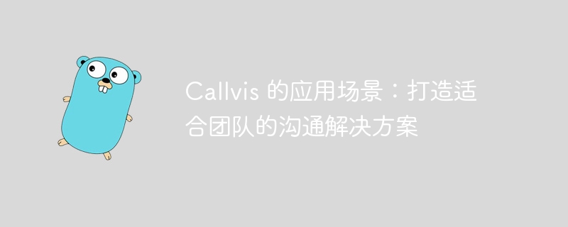 Callvis 的应用场景：打造适合团队的沟通解决方案