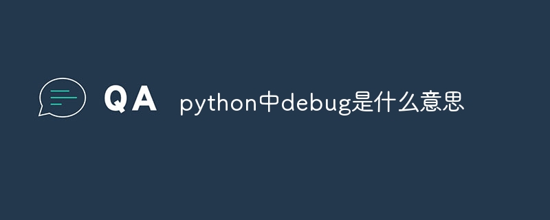 python中debug是什么意思