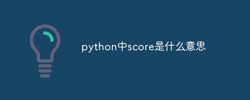 python中score是什么意思