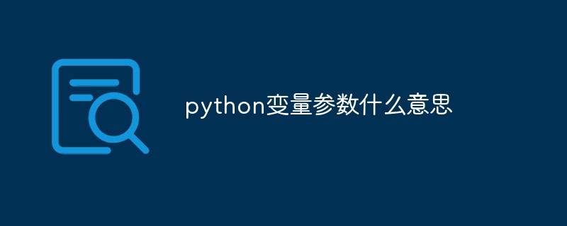 python变量参数什么意思