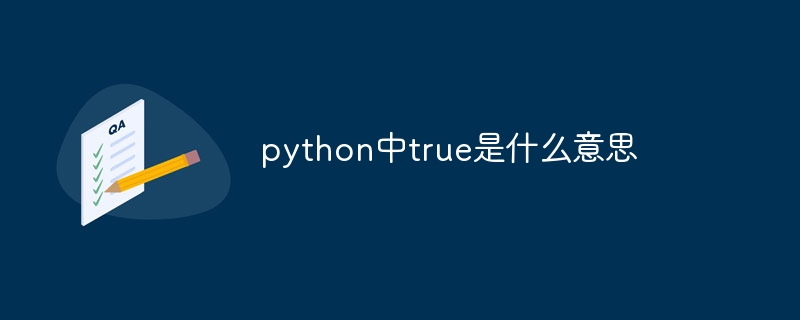 python中true是什么意思