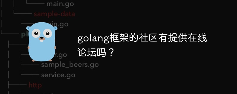 golang框架的社区有提供在线论坛吗？