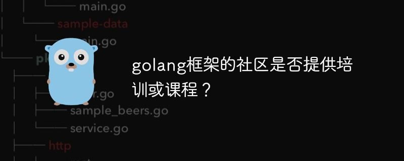 golang框架的社区是否提供培训或课程？