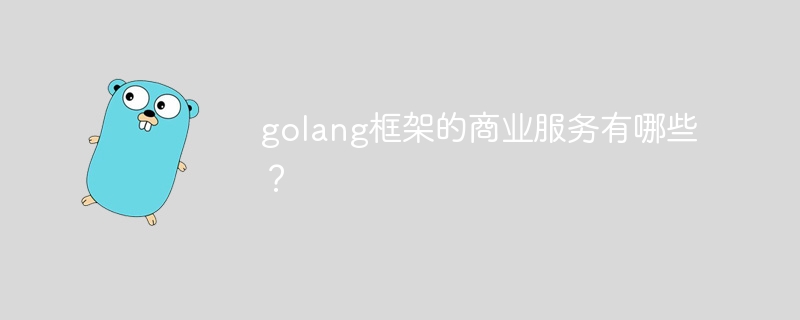 golang框架的商业服务有哪些？