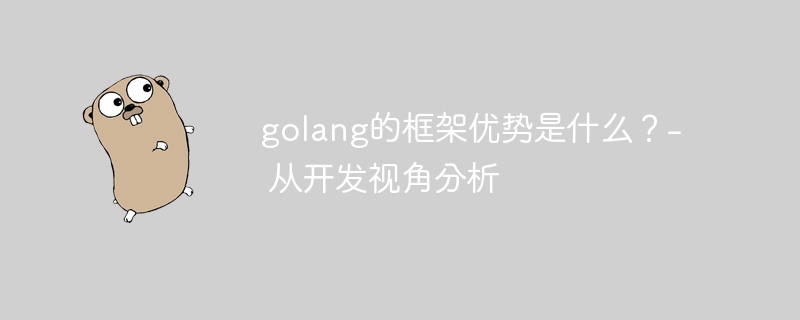 golang的框架优势是什么？- 从开发视角分析