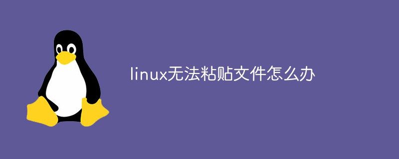 linux无法粘贴文件怎么办