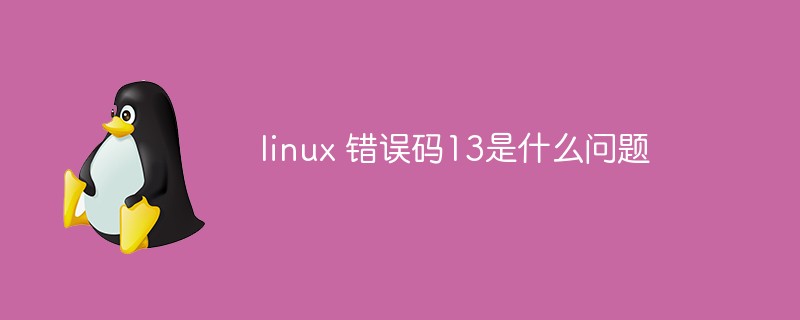 linux 错误码13是什么问题