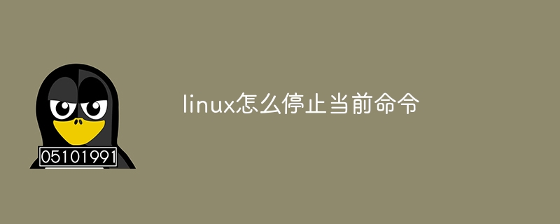 linux怎么停止当前命令