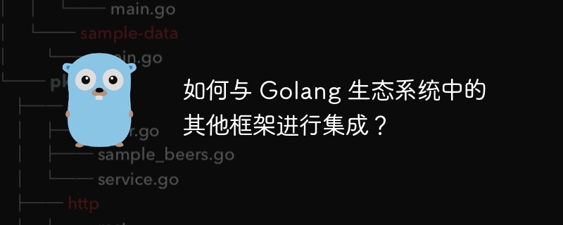 如何与 Golang 生态系统中的其他框架进行集成？