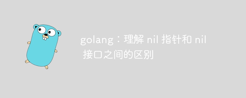 golang：理解 nil 指针和 nil 接口之间的区别