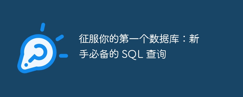 征服你的第一个数据库：新手必备的 sql 查询