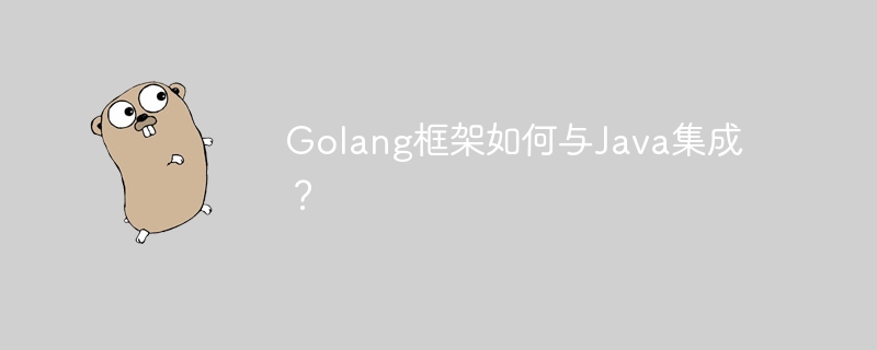 Golang框架如何与Java集成？