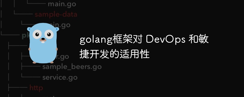 golang框架对 DevOps 和敏捷开发的适用性