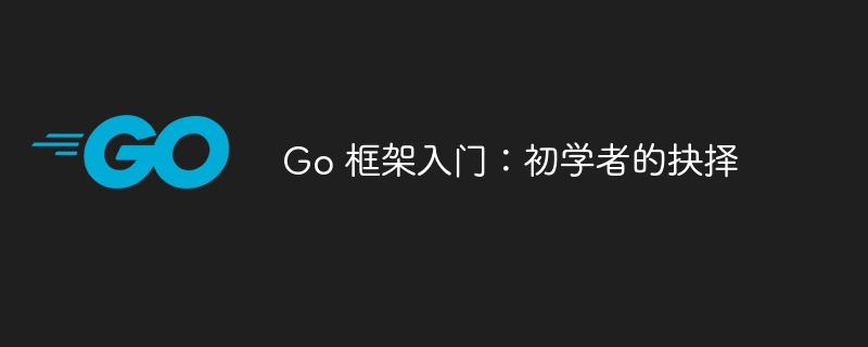 Go 框架入门：初学者的抉择