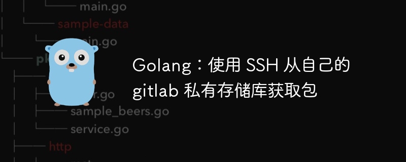 golang：使用 ssh 从自己的 gitlab 私有存储库获取包