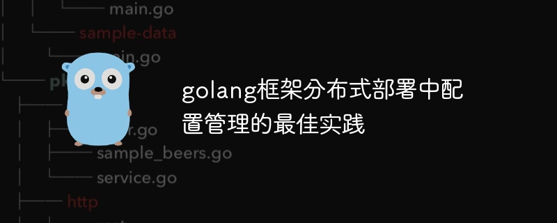 golang框架分布式部署中配置管理的最佳实践