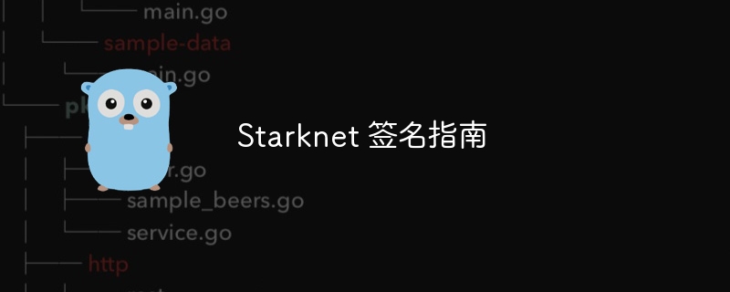 starknet 签名指南