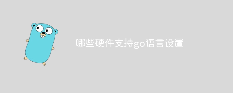 哪些硬件支持go语言设置