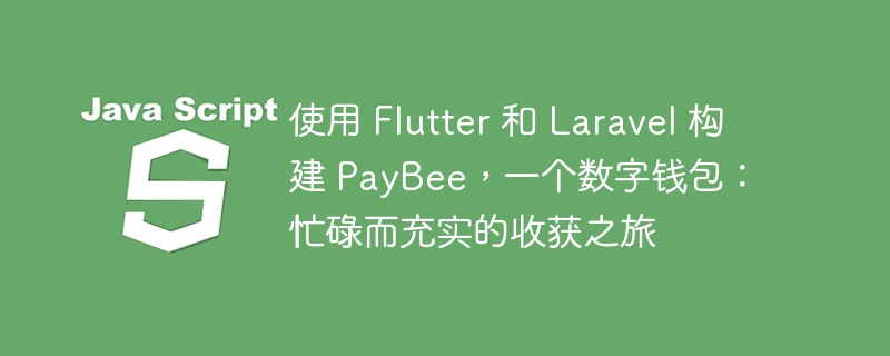 使用 flutter 和 laravel 构建 paybee，一个数字钱包：忙碌而充实的收获之旅