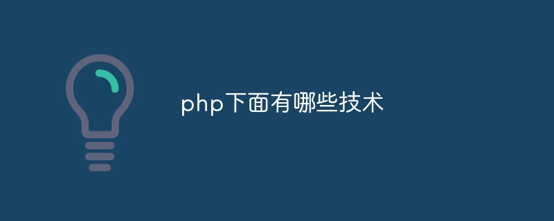 php下面有哪些技术