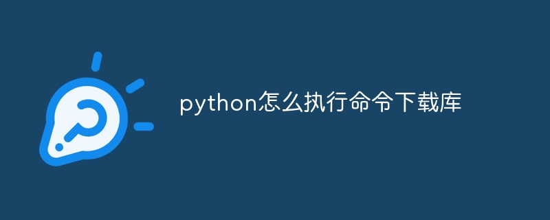 python怎么执行命令下载库