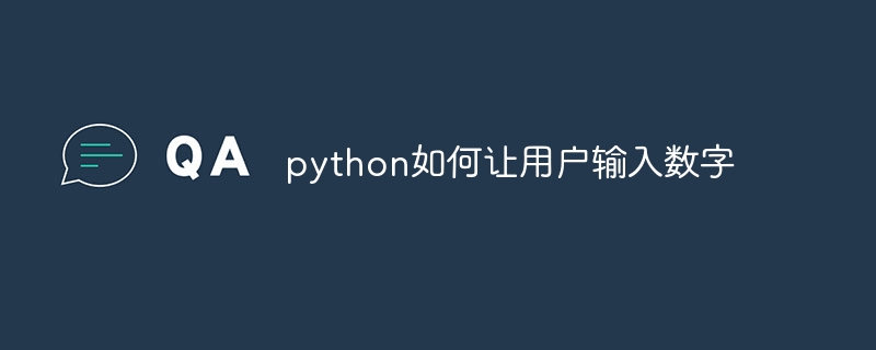 python如何让用户输入数字