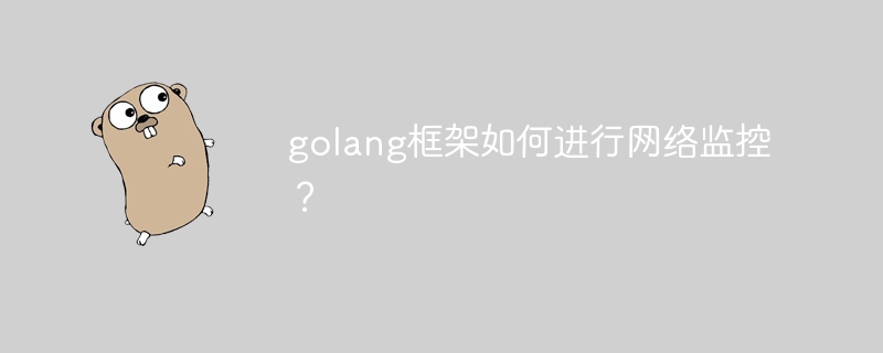 golang框架如何进行网络监控？