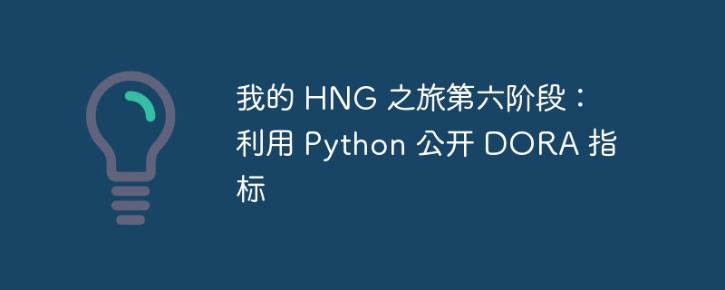 我的 hng 之旅第六阶段：利用 python 公开 dora 指标