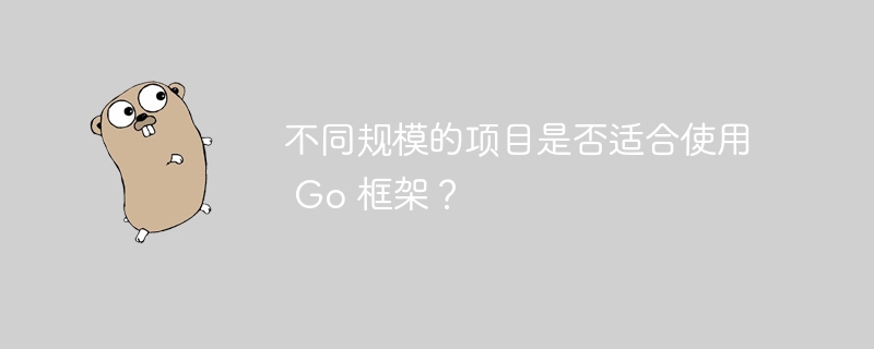 不同规模的项目是否适合使用 Go 框架？