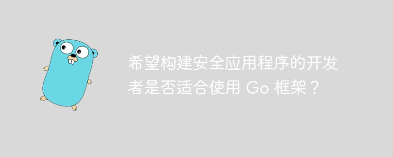 希望构建安全应用程序的开发者是否适合使用 Go 框架？