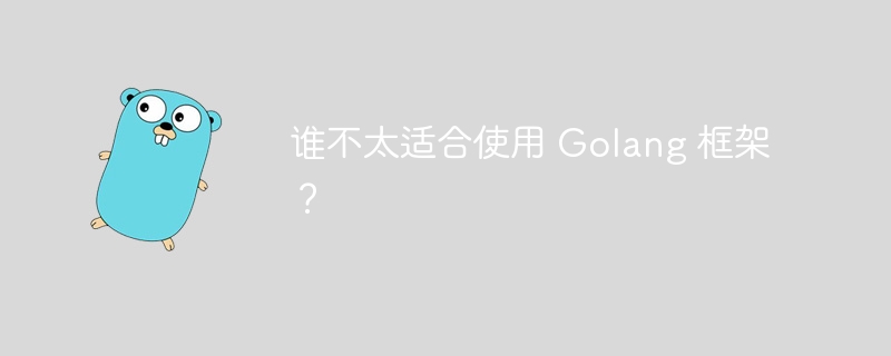 谁不太适合使用 Golang 框架？