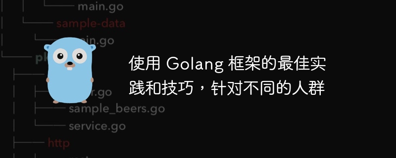 使用 Golang 框架的最佳实践和技巧，针对不同的人群