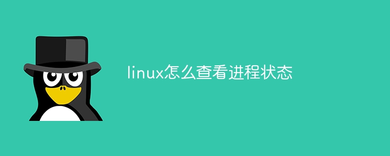 linux怎么查看进程状态