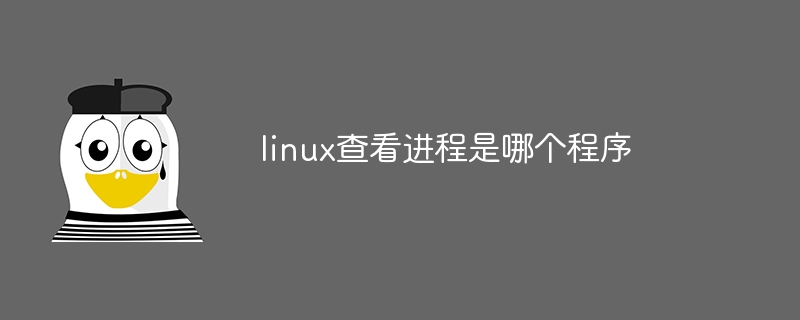 linux查看进程是哪个程序