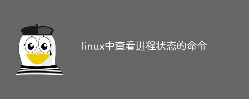 linux中查看进程状态的命令