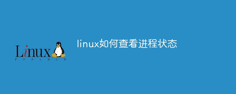 linux如何查看进程状态