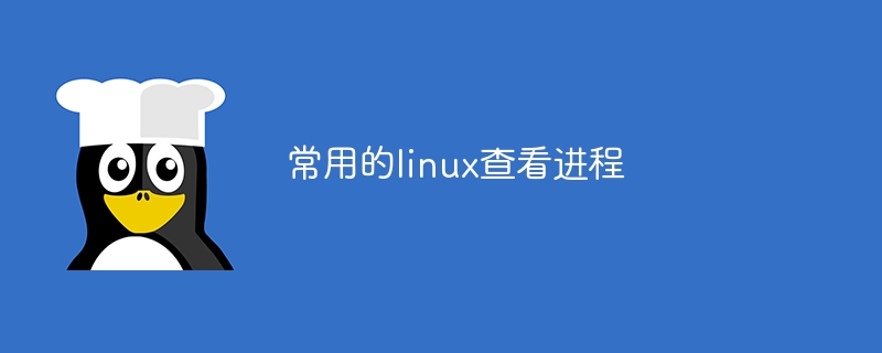 常用的linux查看进程